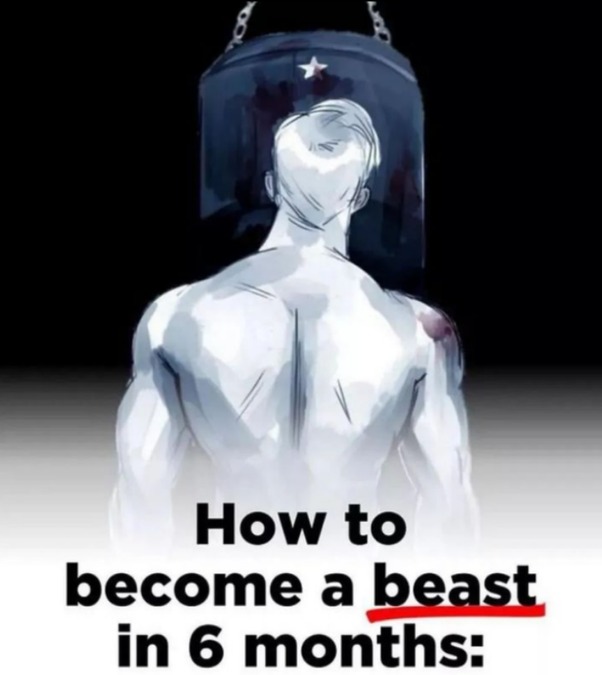 How to become a beast in 6 months: